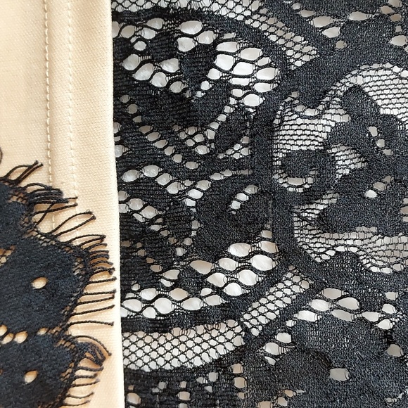 A’reve Black & Nude Lace Skirt - Picture 5 of 9